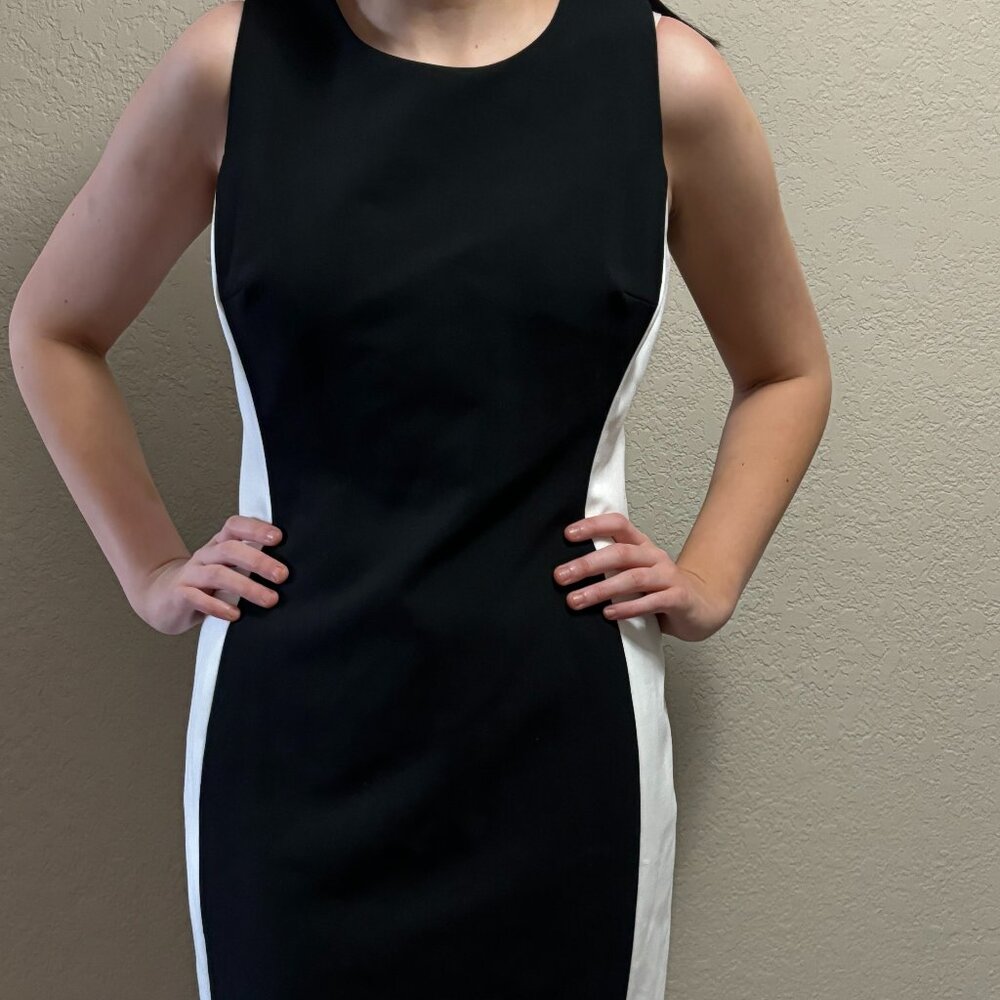 NWT - Ralph Lauren Size 12 Sheath Dress